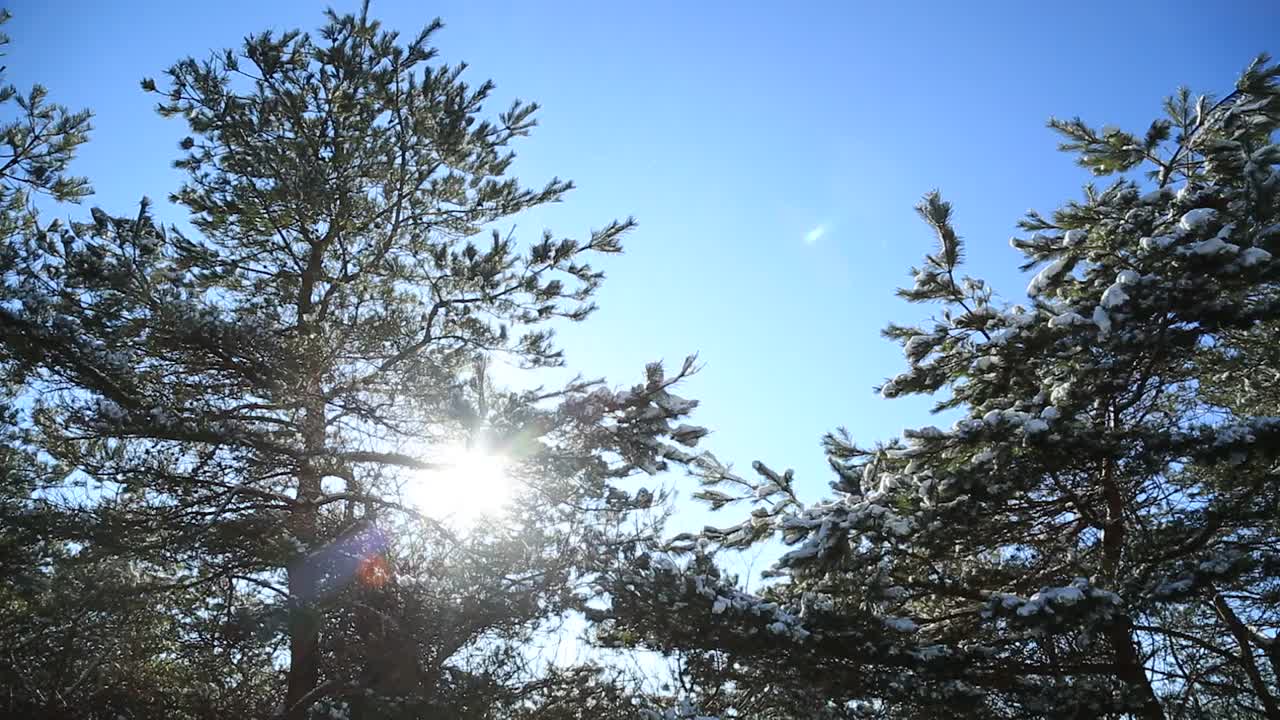 江原道、太极山和雪景/韩国视频素材