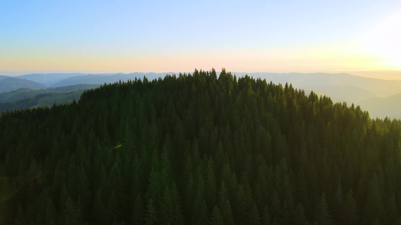 鸟瞰山野中五彩缤纷的日落。黑暗的松林被明亮的夕阳照亮。美丽的自然景观视频素材