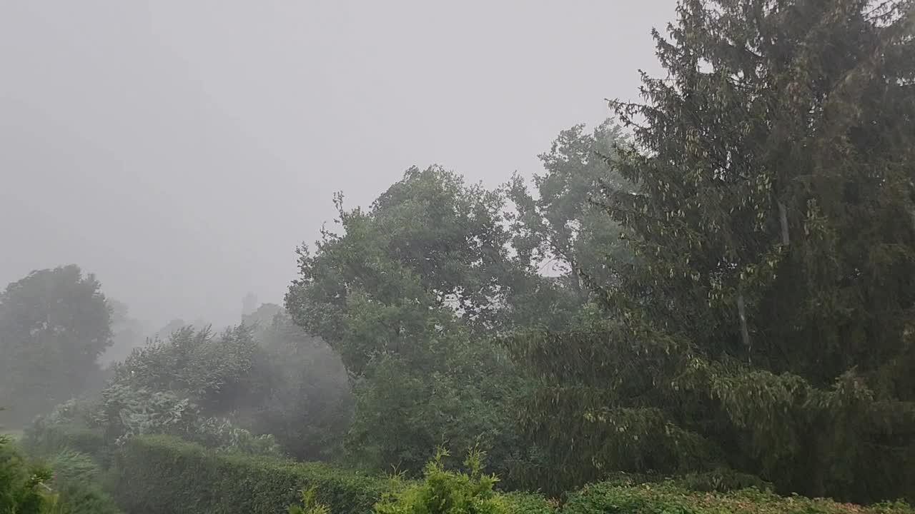 6月雨。视频下载