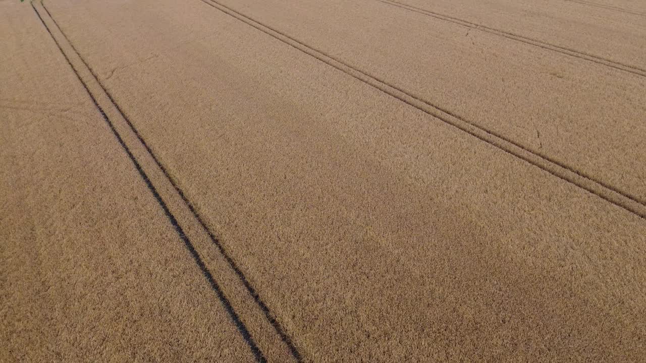 飞越有痕迹的谷地视频下载