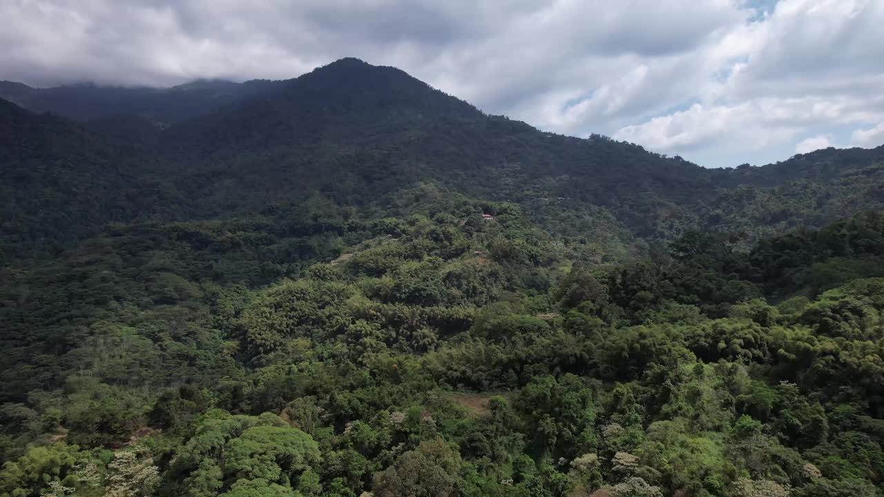 在一个微云的早晨，看到被树木和庄稼包围的青山视频下载