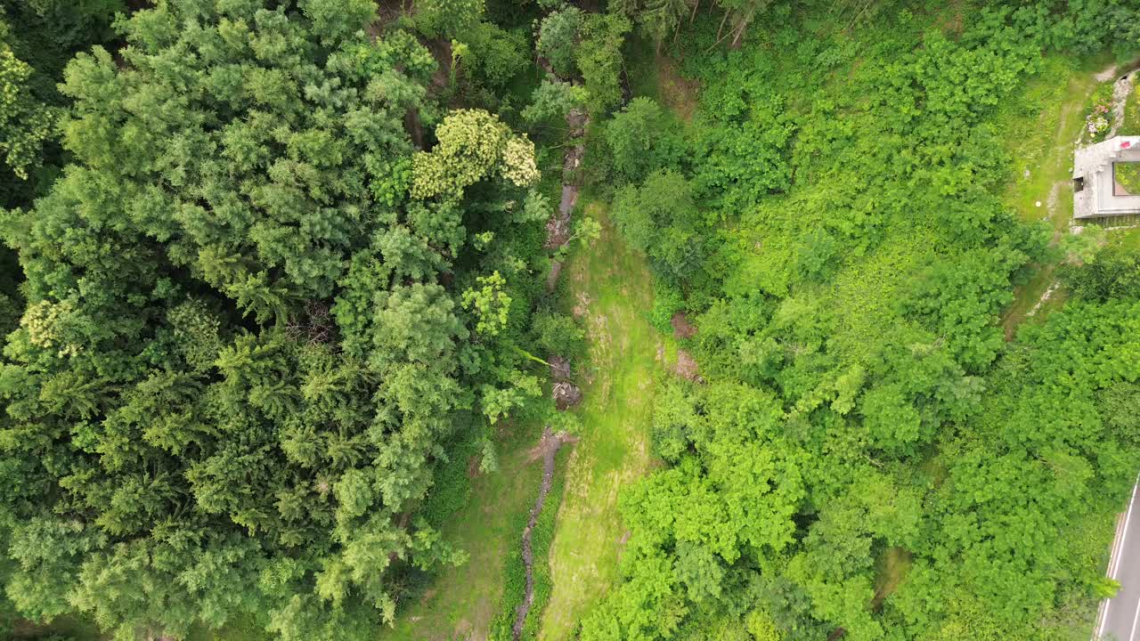 电影般的鸟瞰图，自下而上的效果，关于科莫湖附近的一条小河被古老的绿色树木包围视频素材