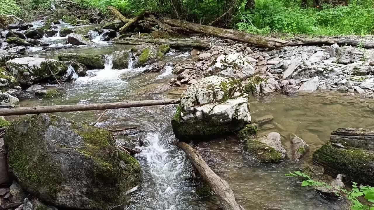 在一个多云的日子里，一条浅河从山上疾流而下，穿过一片夏日森林，河床上有被砍倒的树干。视频下载