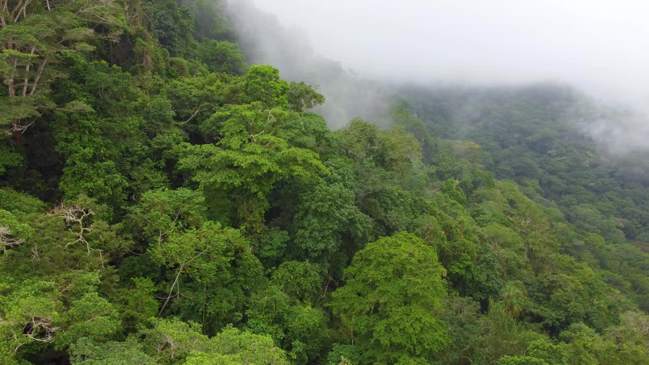 在哥伦比亚雨林中覆盖着绿色树叶的山坡上的三个山顶的圆形镜头视频素材