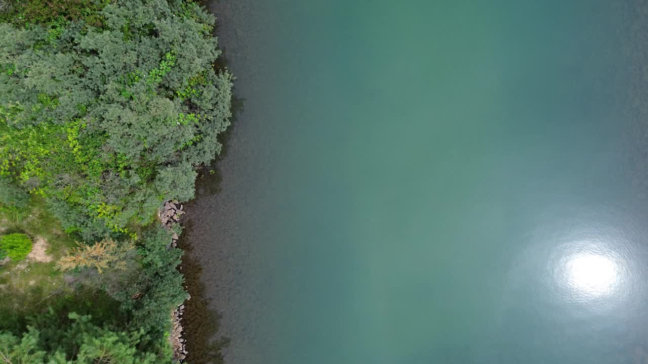 从上往下拍摄的河流，树木和阳光的反射视频下载