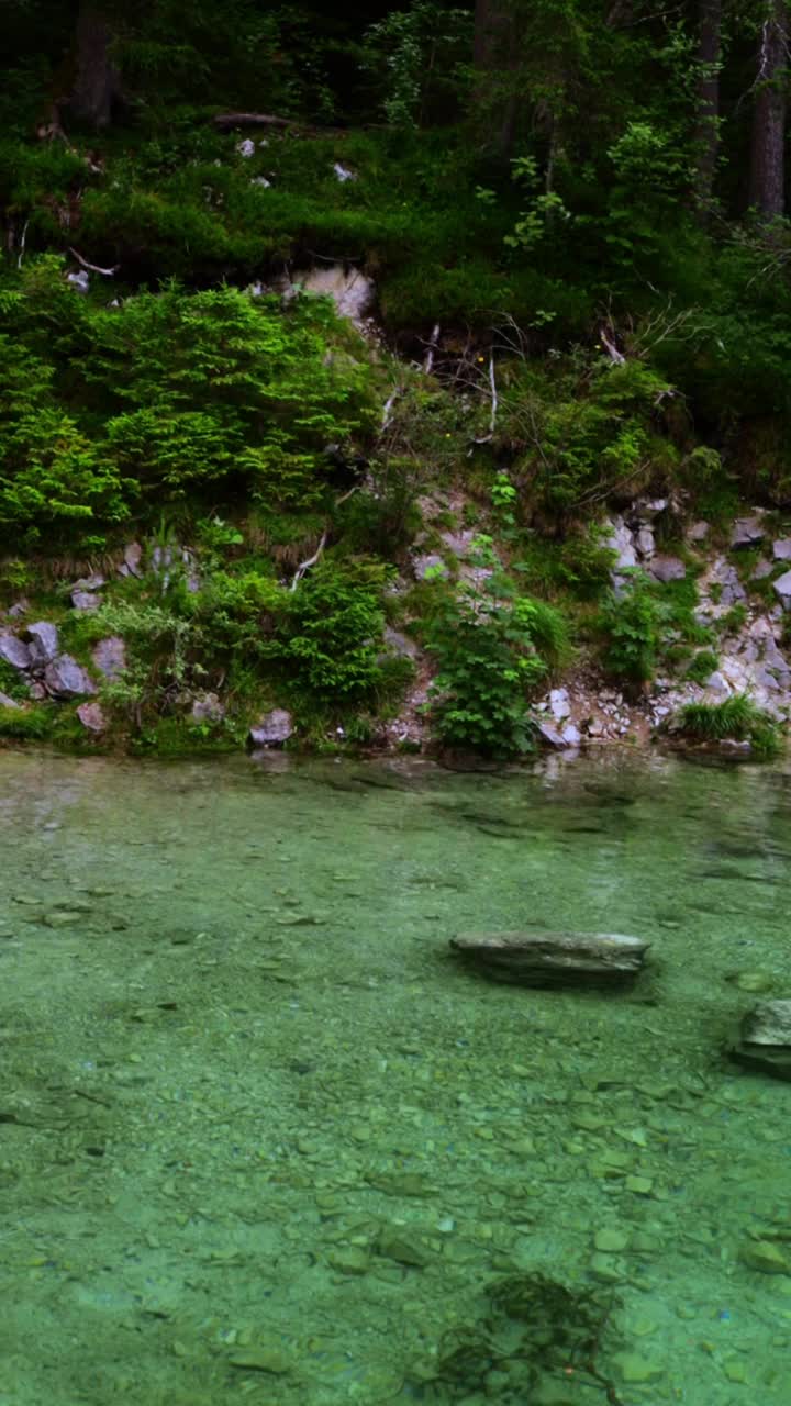 在阿尔卑斯山巴伐利亚山麓的湖泊与山脉的背景视频下载