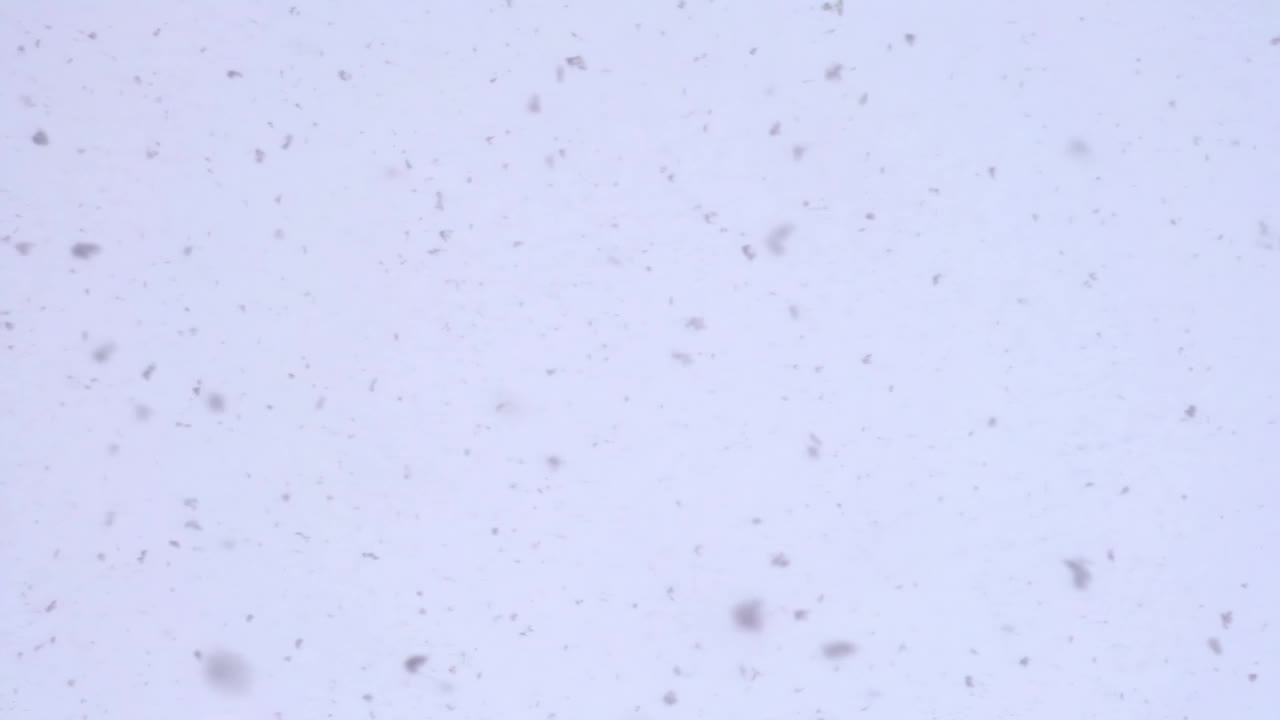 水平降雪视频下载