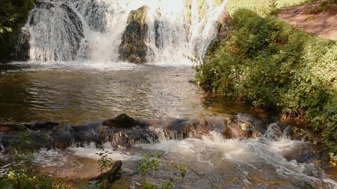 山上河水清澈。水流过石头，长满苔藓，绿油油的森林视频下载