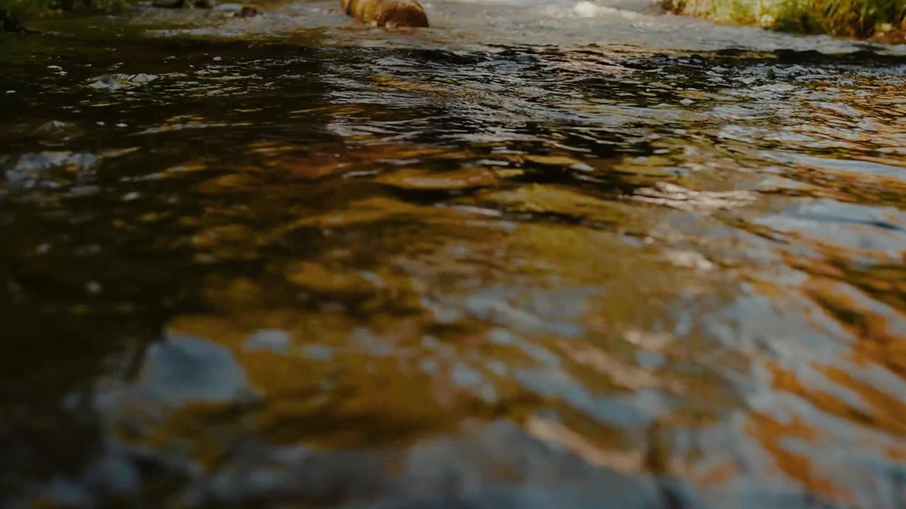 山上河水清澈。水流过石头，长满苔藓，绿油油的森林视频下载