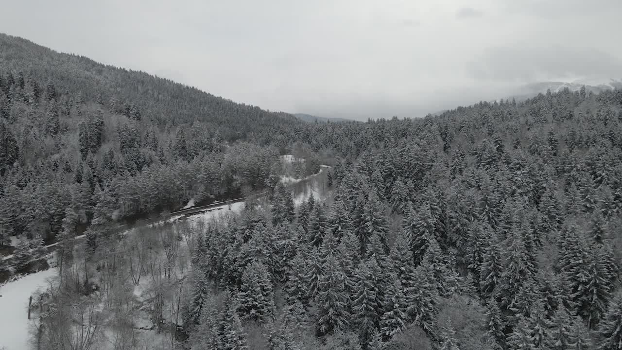 一个宁静的冬季山谷，到处是白雪覆盖的树木和雪山的背景视频素材