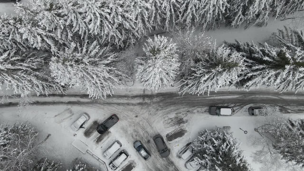 一条白雪覆盖的道路蜿蜒穿过一个村庄，周围是白雪覆盖的树木和古色古香的房屋视频素材