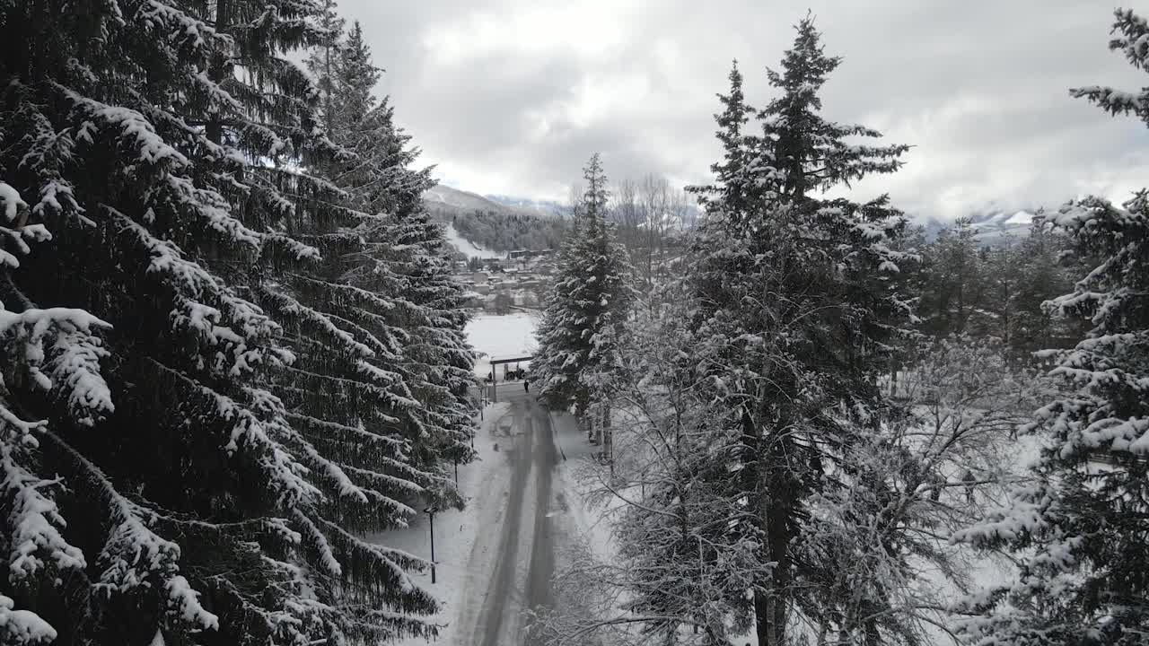 一条白雪覆盖的道路蜿蜒穿过一个村庄，周围是白雪覆盖的树木、古色古香的房屋和多云的天空视频素材