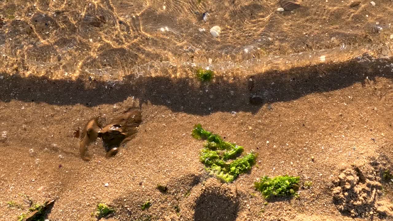 布莱顿海滩的日落视频素材