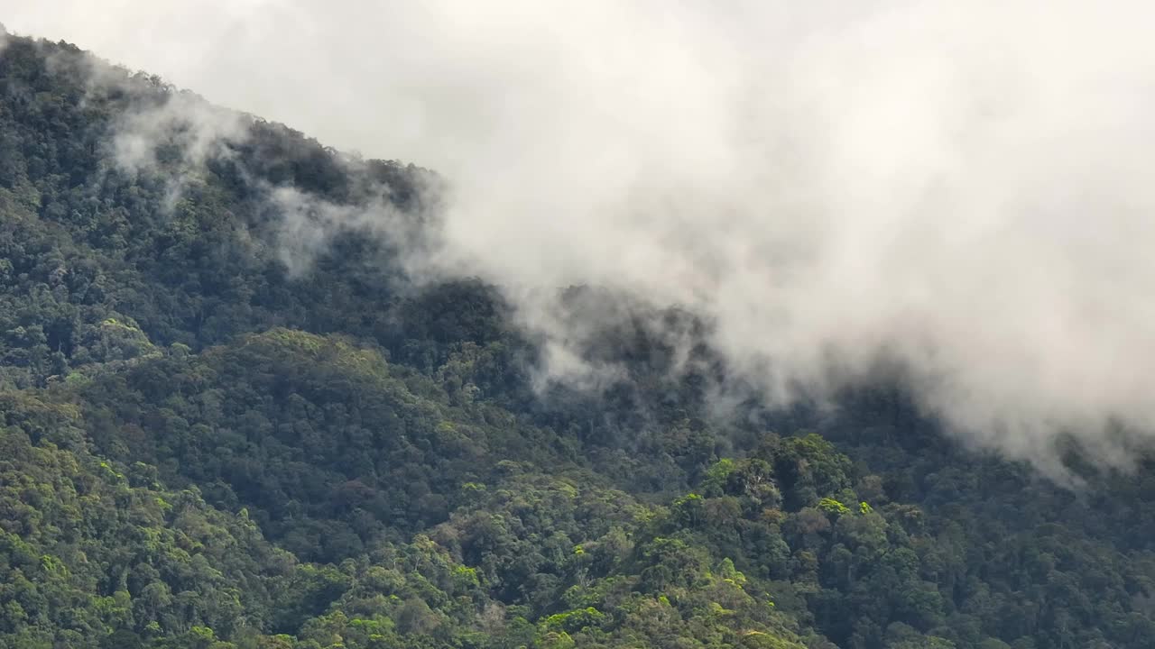 有雨林和丛林的山脉。印度尼西亚苏门答腊。视频素材