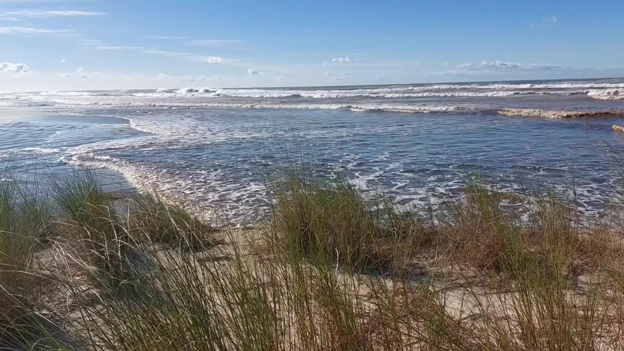 冬天大海的景色视频下载