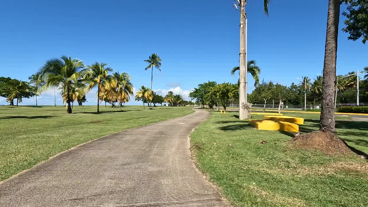 沿着波多黎各卡罗莱纳海滩附近的自行车道骑行，背景是棕榈树和热带植被(冒险旅行加勒比海度假)运动视频素材