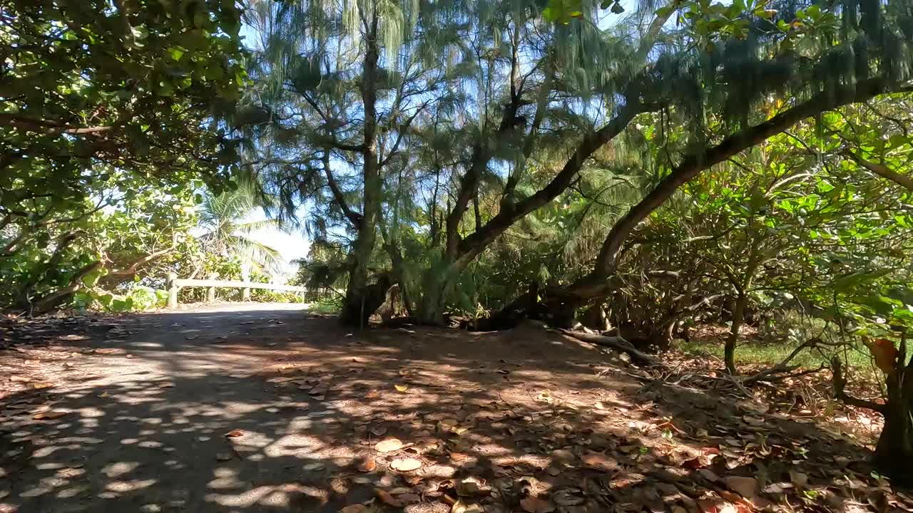 骑自行车pov(观点)在pinones红树林旁边的海滩(波多黎各自然公园之间的卡罗莱纳州和loiza, Piñones)骑自行车骑自行车旅行旅游视频素材