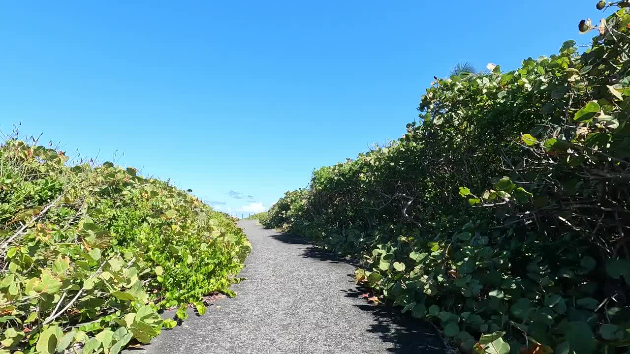 骑自行车pov(观点)在pinones红树林旁边的海滩(波多黎各自然公园之间的卡罗莱纳州和loiza, Piñones)骑自行车骑自行车旅行旅游视频素材