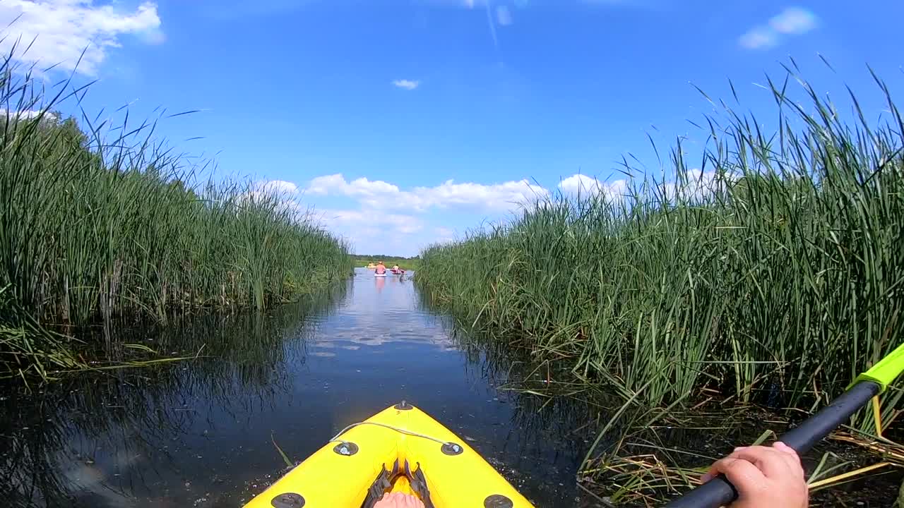 在一个阳光明媚的夏日，一个人乘着充气船沿着河流漂流，穿过绿色的芦苇丛。人们沿着河划独木舟。划桨的人。运动，行动，活动，生活方式。观点视频素材