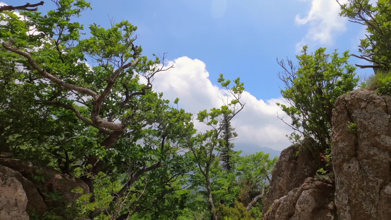 江原道、雪岳山、西丰陵山和自然风光/韩国视频素材