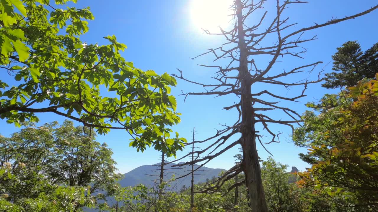 江原道、雪岳山、西丰陵山和自然风光/韩国视频素材