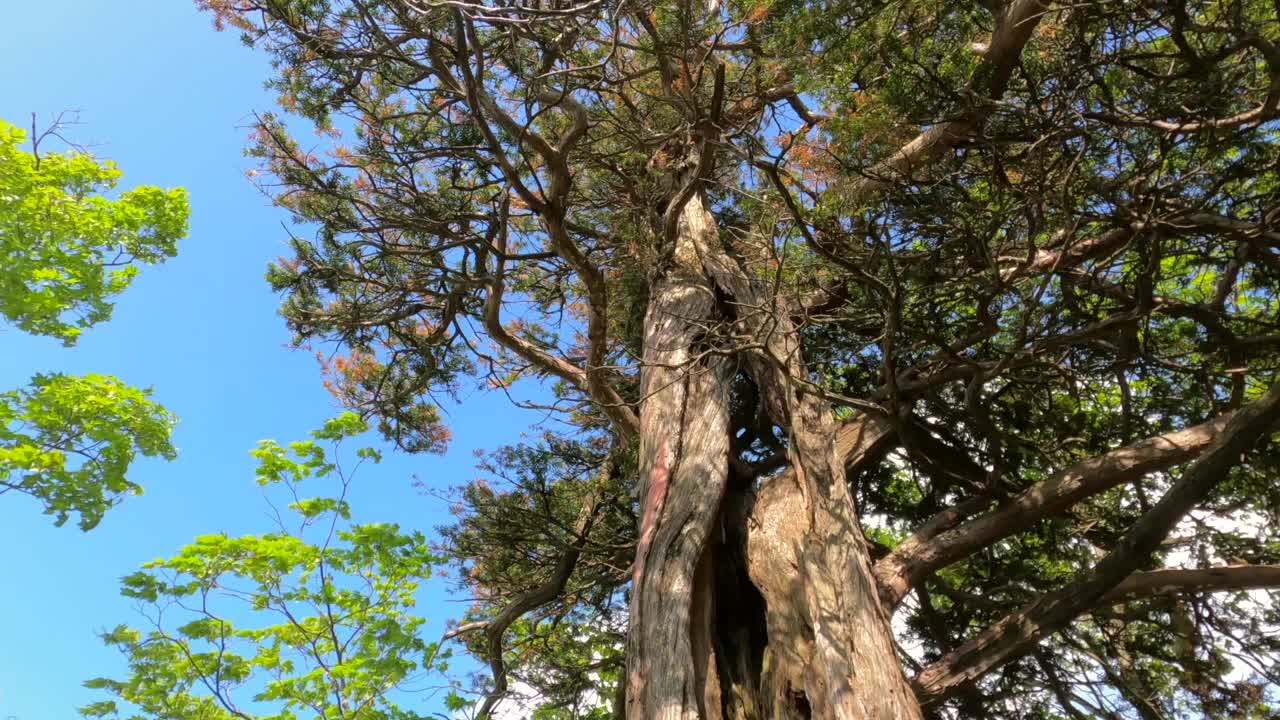 江原道、雪岳山、西丰陵山和自然风光/韩国视频素材