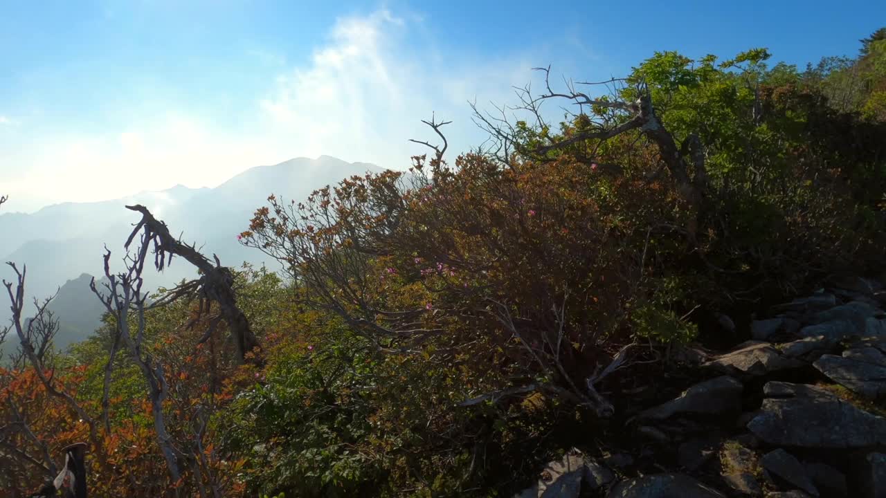 江原道、雪岳山、西丰陵山和自然风光/韩国视频素材