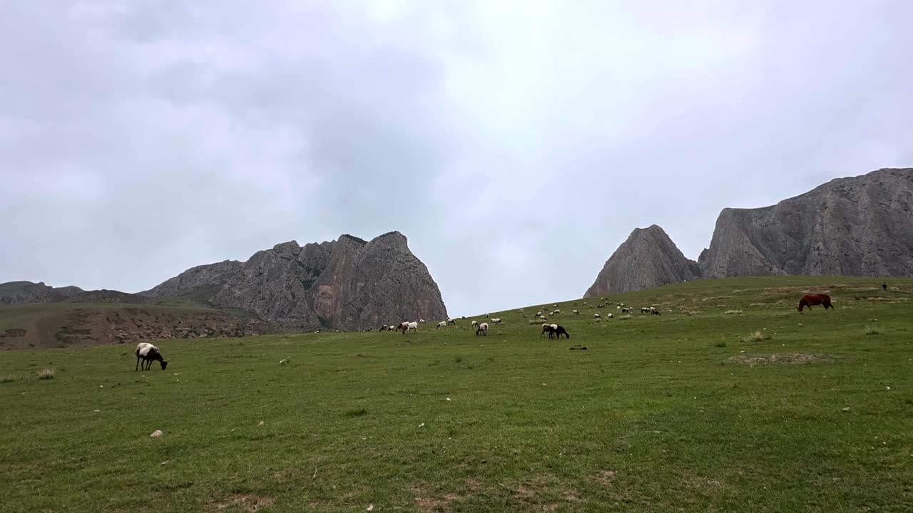 神秘的甘南加密地区位于甘南藏族自治州，视频素材