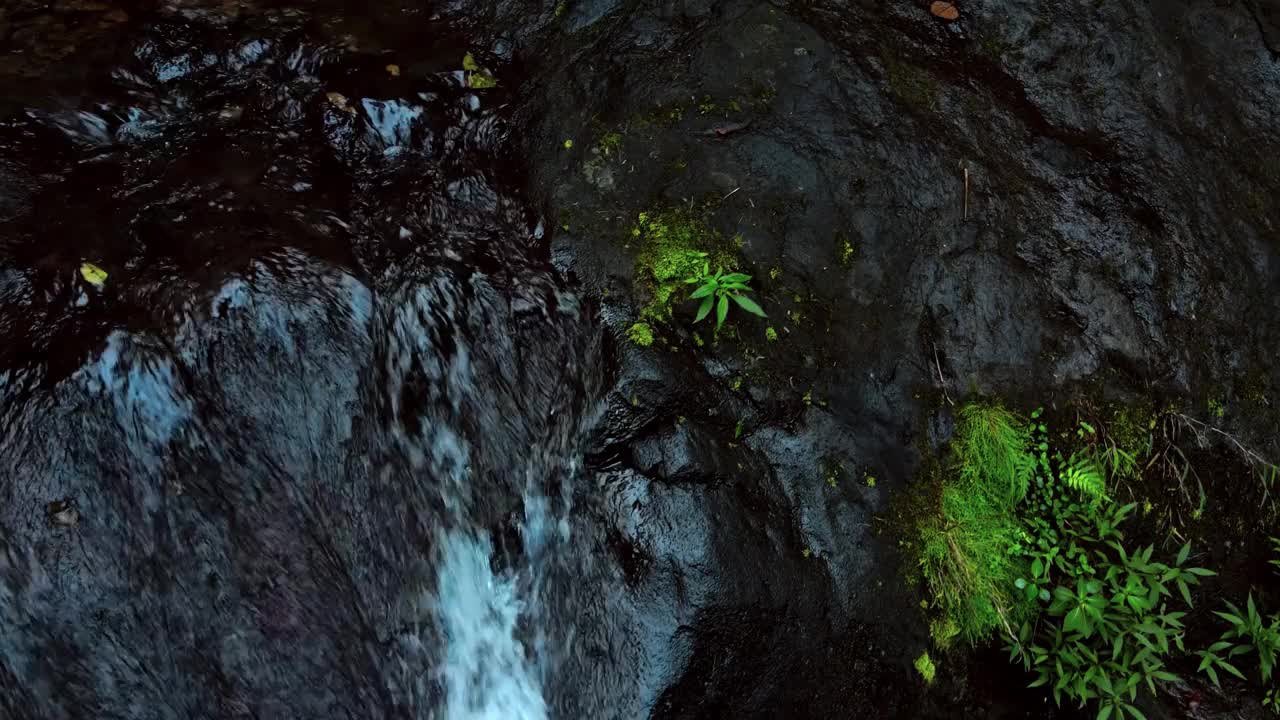 无人机拍摄的清晰的河流水流，多洛瀑布地区的河流，Kediri，印度尼西亚视频素材