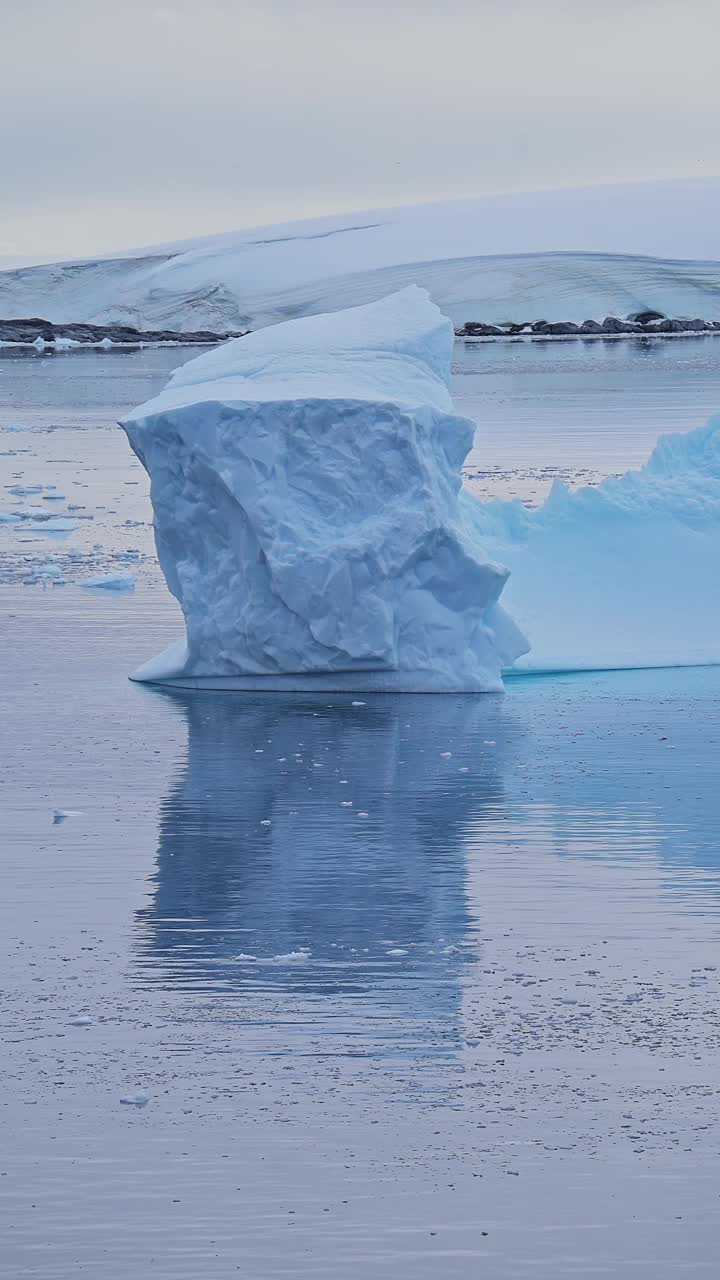 南极洲冰山冰形成漂浮在海洋海水上，社交媒体的垂直视频，Instagram Reels和抖音，南极半岛冬季景观风景和冰景观视频素材