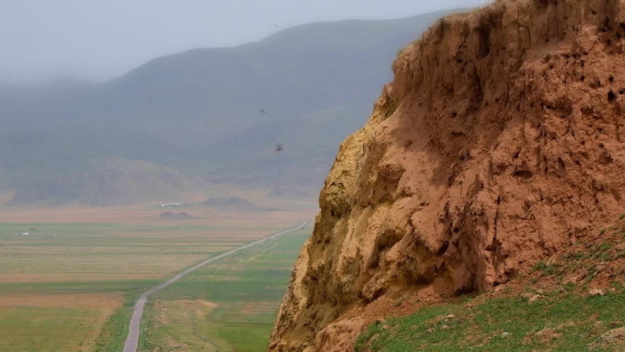 鸟儿，如家燕或雨燕，在路边的粘土山上筑巢。视频下载