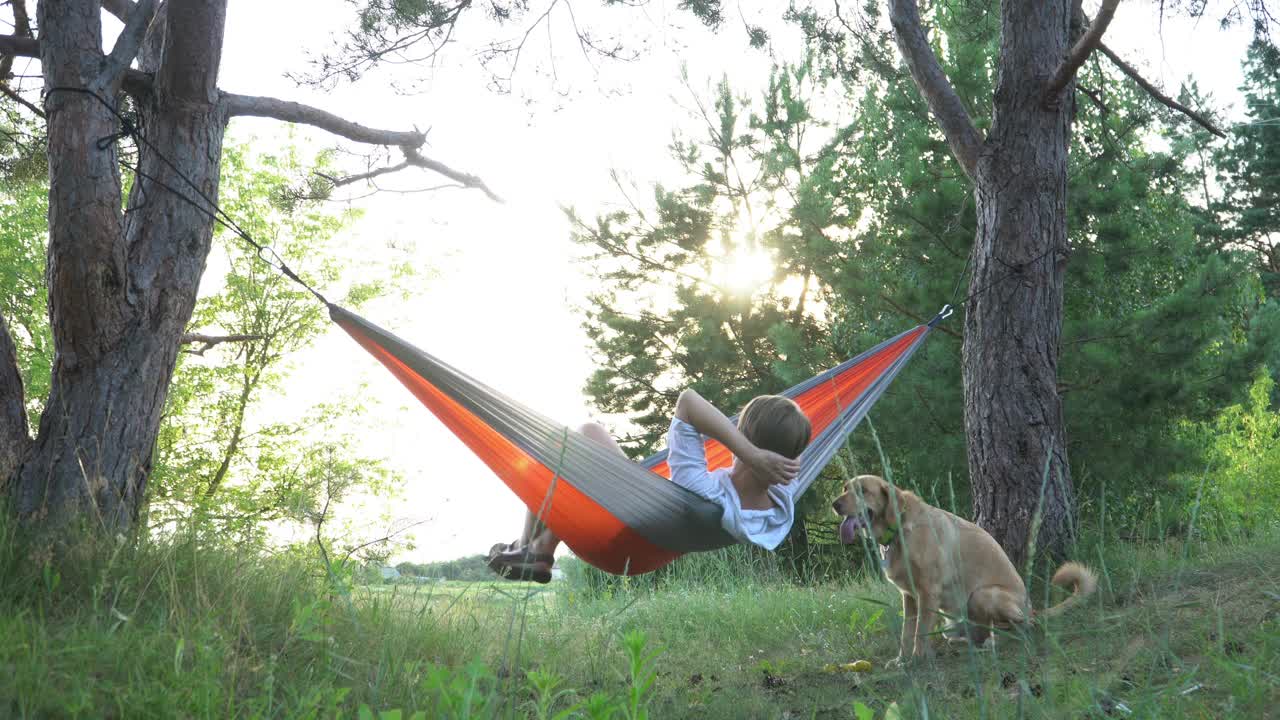 夏天，年轻女子躺在吊床上放松，和她的狗玩耍。户外露营和放松的概念视频下载