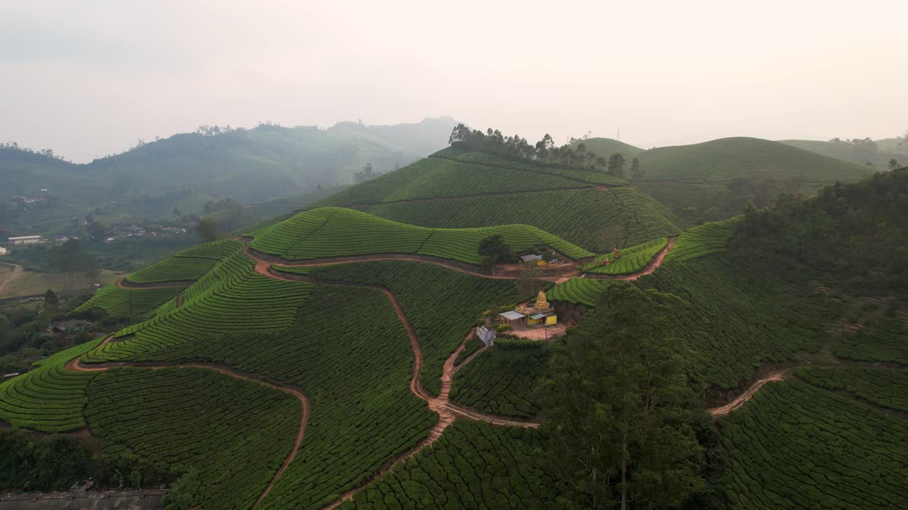 鸟瞰印度慕那尔的茶园，一排排的茶园女工正在采茶。美丽的绿色景观穆纳尔茶园，喀拉拉邦，印度南部视频素材