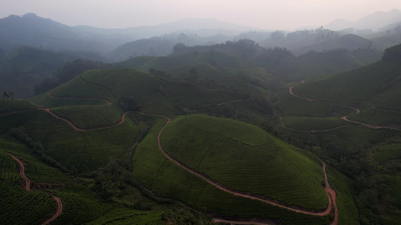 鸟瞰图，印度慕纳尔丘陵高地上的茶园。农村传统村落的茶园梯田、农业农田视频素材