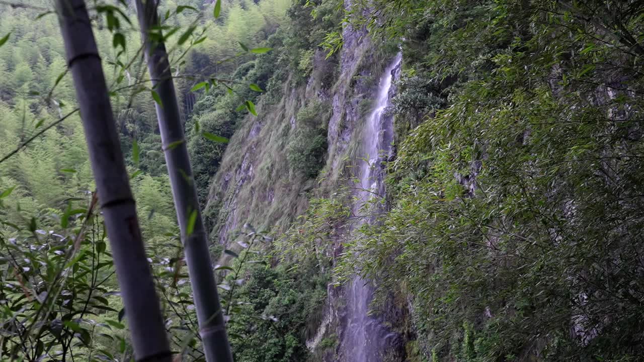 山泉和小瀑布视频素材