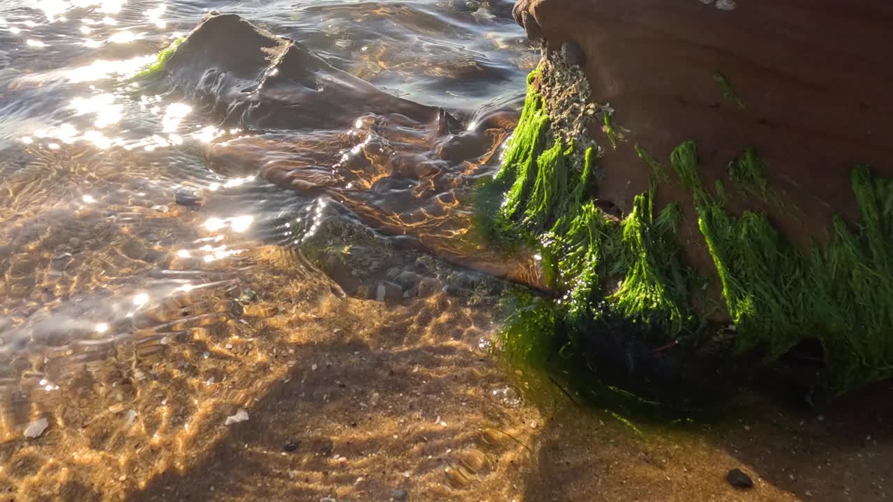 海浪冲击着长满苔藓的海滩结构视频素材