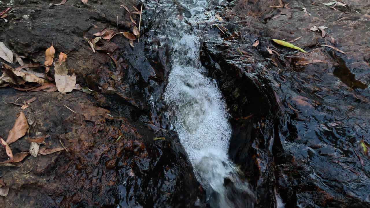 昆士兰州春溪的流动溪流视频素材