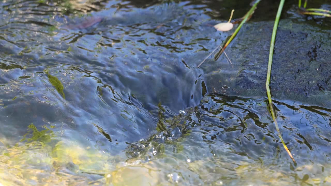 岩石上的流水视频素材