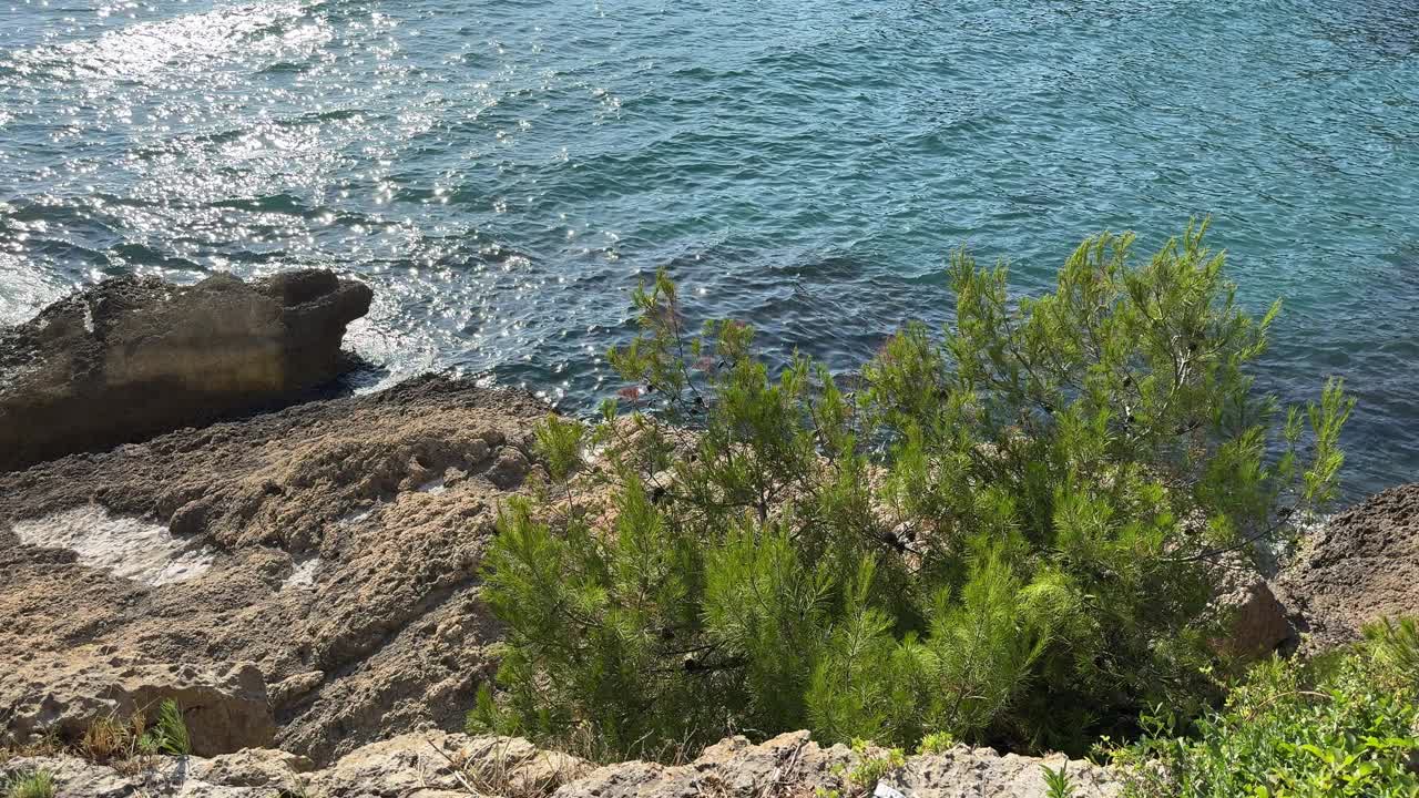 风景优美的岩石海岸，有松树和地中海。视频素材