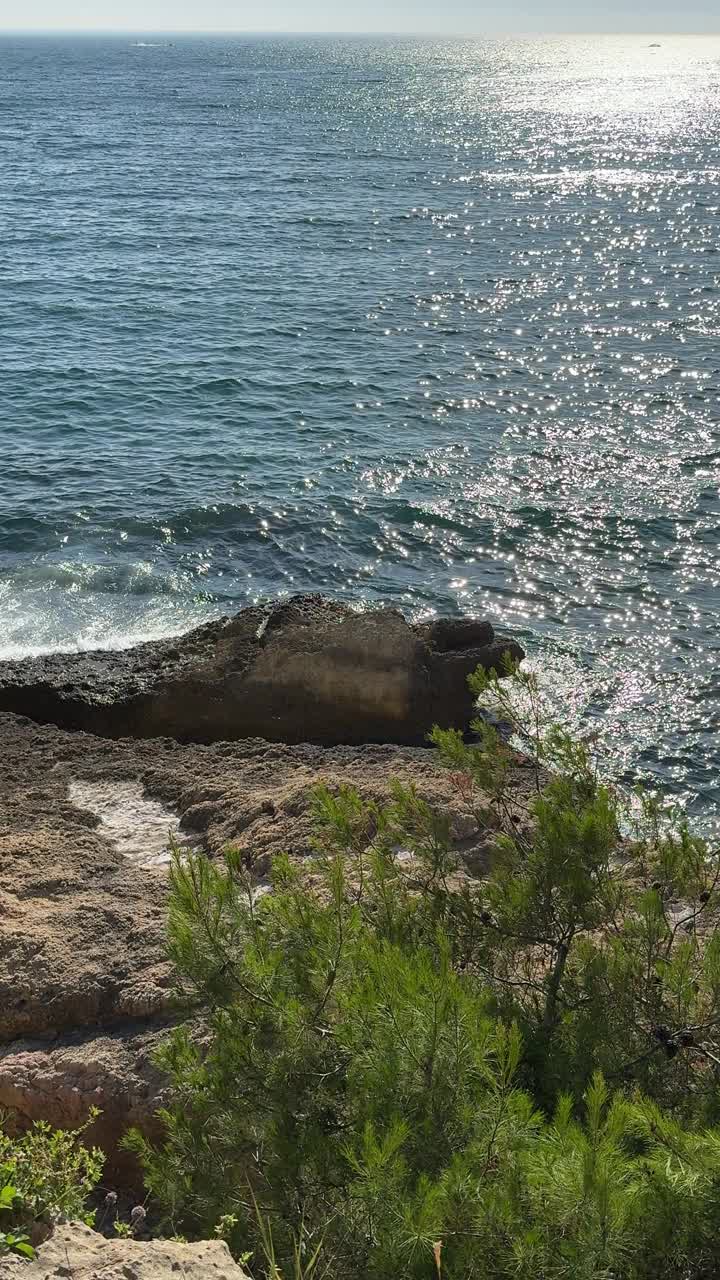 风景秀丽的岩石海岸与松树和地中海，垂直视频视频素材