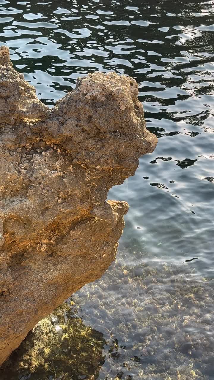 岩石在清澈的海水中，垂直录像视频素材