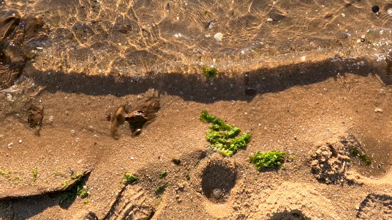 布莱顿海滩水域的日落视频素材