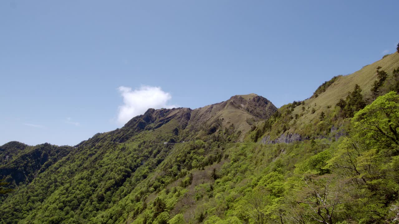 日本的神守山视频下载