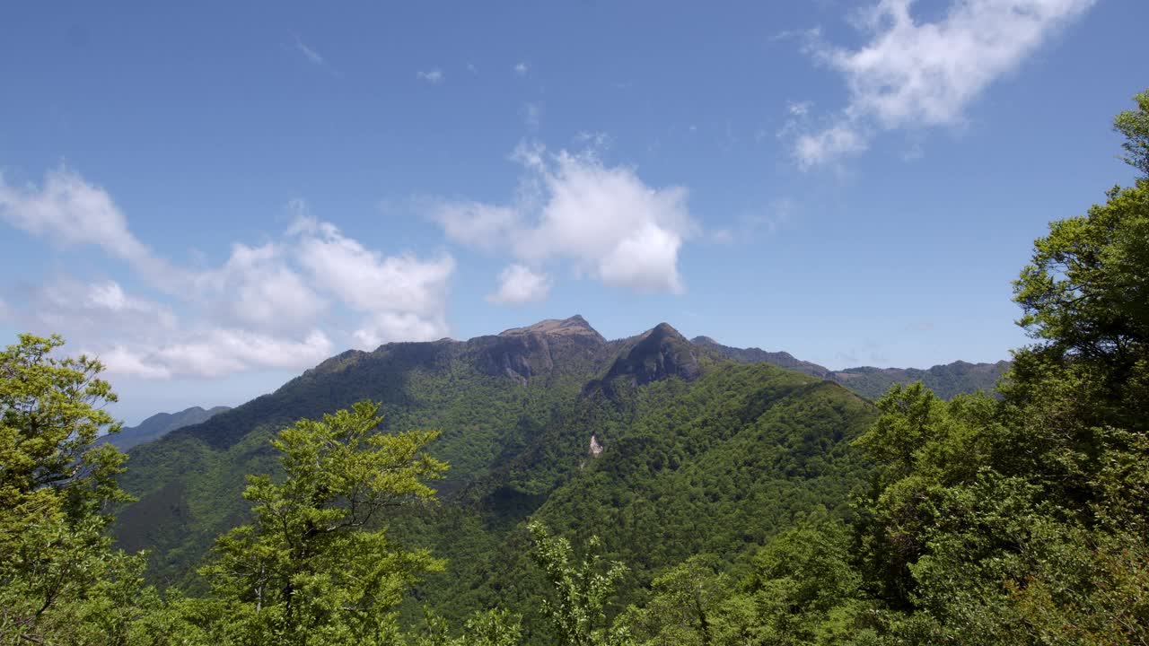 日本的神守山视频下载