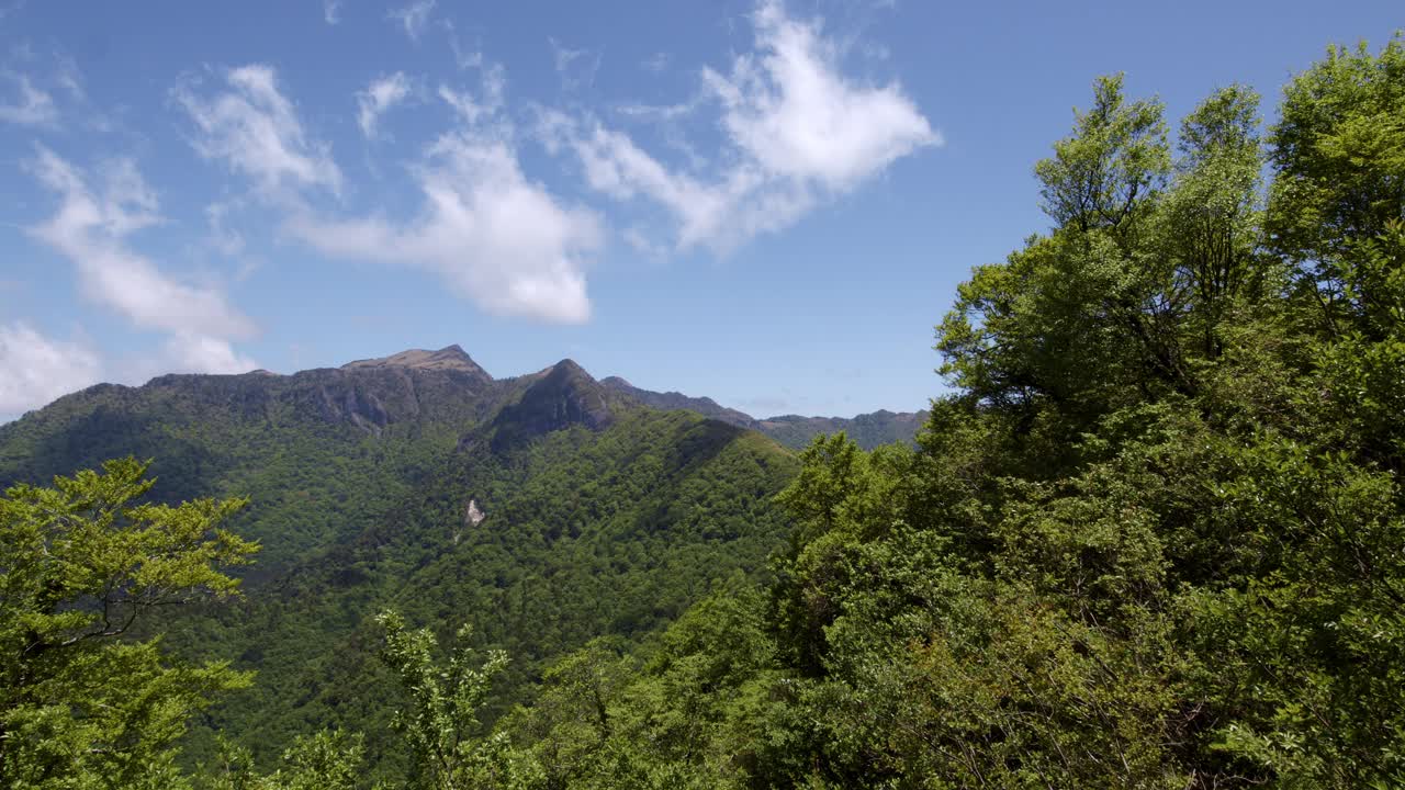 日本的神守山视频下载