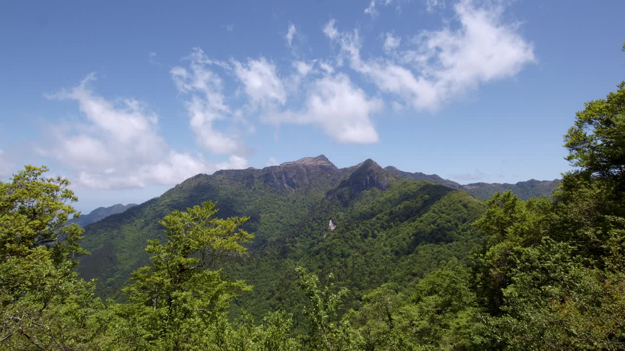 日本的神守山视频下载