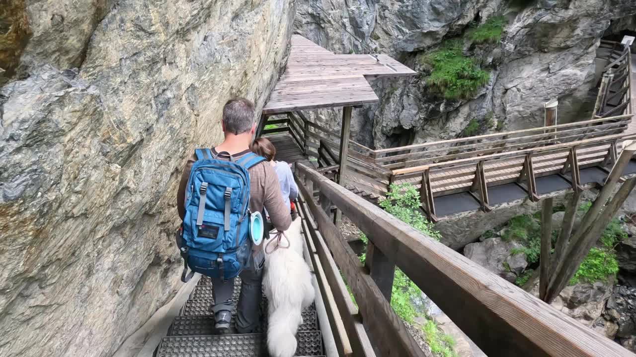 与狗在山间的木路上徒步旅行视频素材