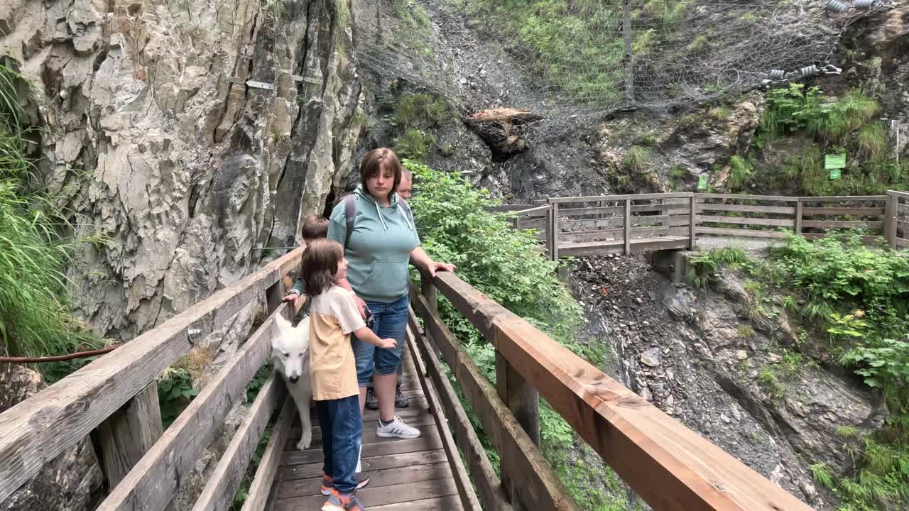 阿尔卑斯山木桥上的家庭徒步旅行视频素材