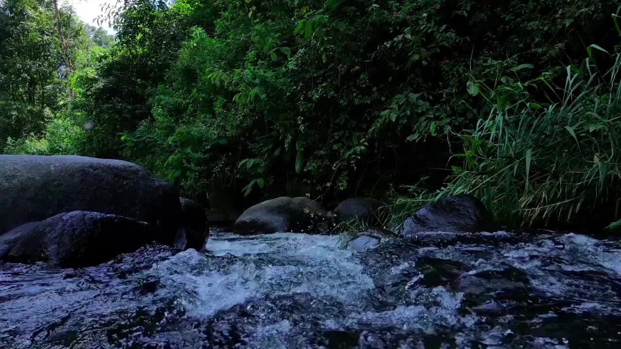 清澈的河水在山上流动视频下载