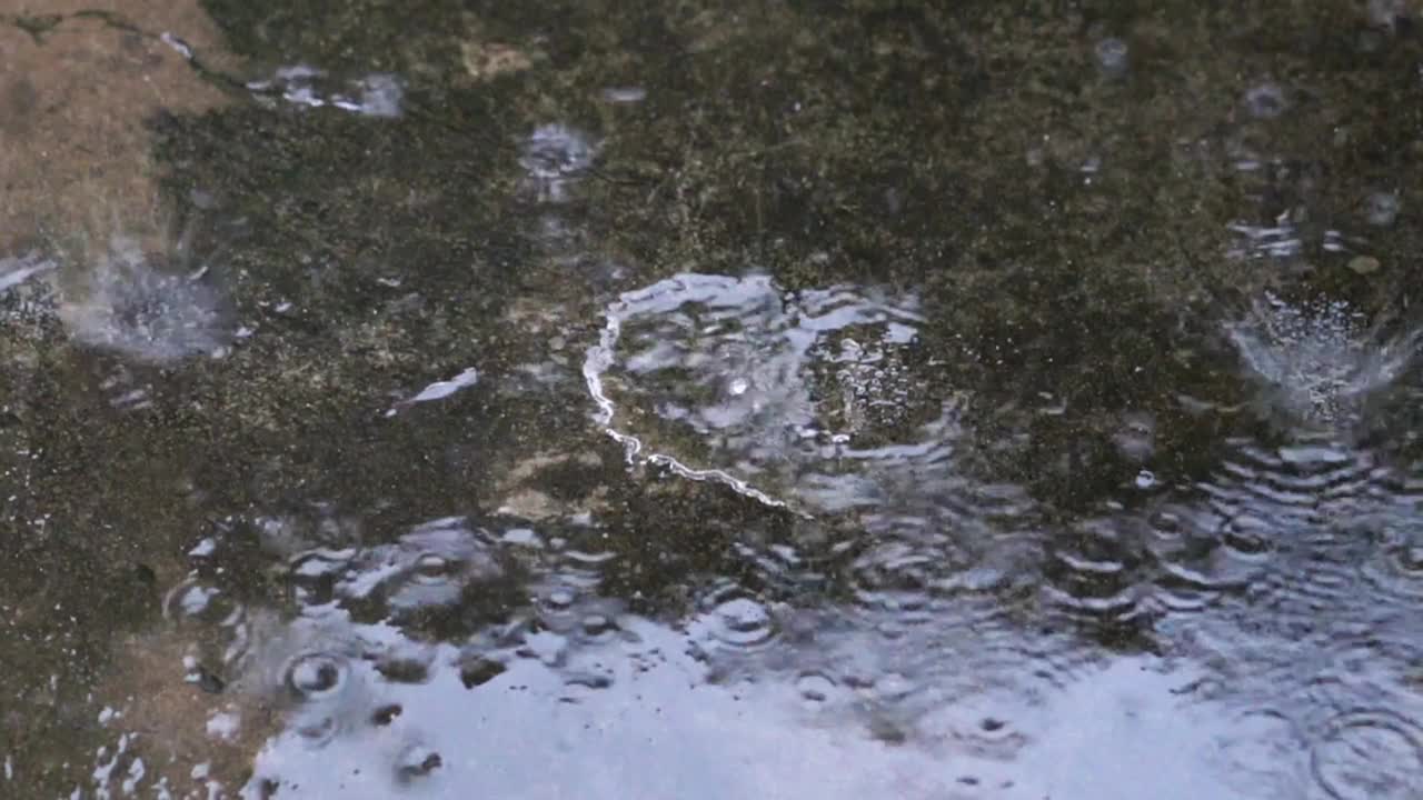 大雨落在地板上视频下载